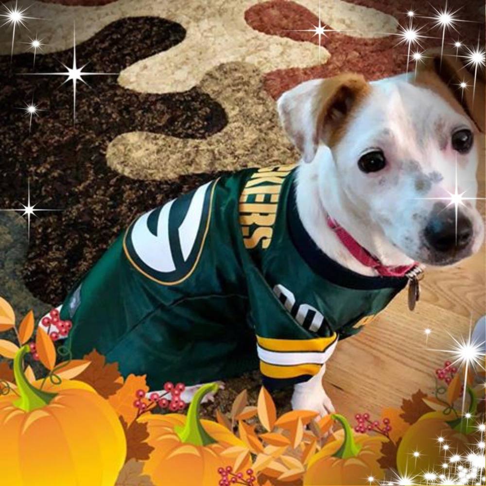 Meet your Posher, Dana